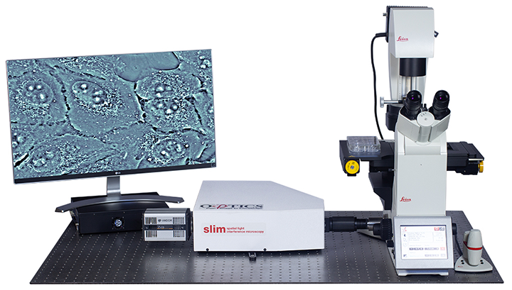mark Sada apprentice 空間光干渉顕微鏡 SLIM | フォトニックインストゥルメンツ